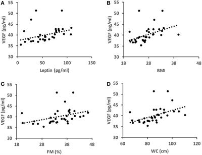 Aerobic Training Improves Angiogenic Potential Independently of Vascular Endothelial Growth Factor Modifications in Postmenopausal Women